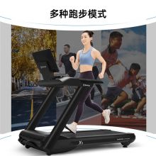 舒华 跑步机 豪华健身运动器材健身房 SH-T6500T 21.5吋大彩屏 