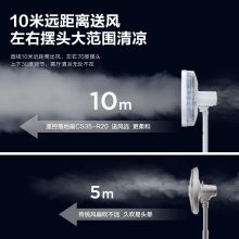 艾美特 七叶家用遥控电风扇7档大风量空气循环摇头立式落地扇 CS35-R20