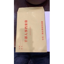 牛皮纸多余档案袋 220*303mm