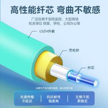 山泽 光纤跳线 万兆LC-LC多模双芯OM3 10米 20米 30米 50米