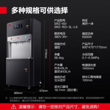 德玛仕(DEMASHI)商用直饮水机 SRZ-3L-L6 两开一净 380V