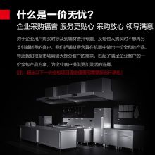 德玛仕(DEMASHI)商用直饮水机 SRZ-3L-L10两开一冰 220V