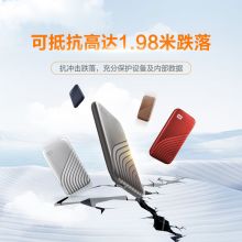 西部数据(WD)2TB NVMe移动硬盘(PSSD)My Passport随行SSD Type-C接口 WDBAGF0020BGY-CESN 深空灰