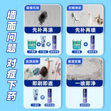 立邦 墙面维修自喷漆 补墙白色喷漆  285ml