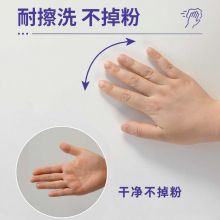 立邦 墙面维修自喷漆 补墙白色喷漆  285ml