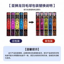 亚狮龙（RSL）羽毛球 日常训练稳定耐打RSL5号球76速