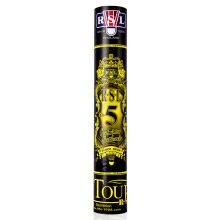 亚狮龙（RSL）羽毛球 日常训练稳定耐打RSL5号球76速