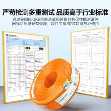 山泽超六类非屏蔽网线 CAT6A类万兆高速 无氧铜线芯  橙色 50米 U6A050