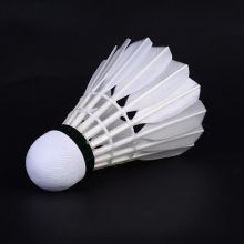 亚狮龙（RSL）亚5羽毛球日常训练稳定耐打5号球76速77速耐打不易烂学校俱乐部 RSL5号-76速