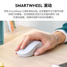 罗技（Logitech）M650L无线蓝牙鼠标 双模大手型