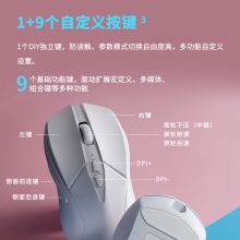 雷柏（Rapoo）V300SE 中小手无线/有线鼠标 白色