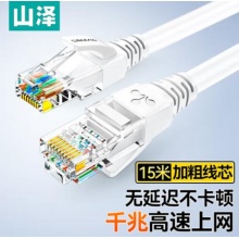 山泽 超五类网线 高速千兆网线 15米 贝吉色 ZW-15
