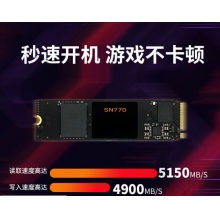 西部数据 固态硬盘256G