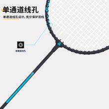 安格耐特 入门羽毛球拍套装 铁合金进攻型对拍家庭亲子娱乐初学 送三球 F2136