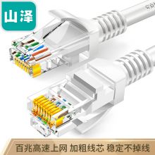 山泽(SAMZHE)超五类网线 CAT5e类高速百兆网线 3米 贝吉色 ZW-03