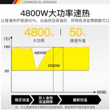 德玛仕（DEMASHI）电炸炉商用 油炸锅 炸串炸油条机 DMS-DZL201V