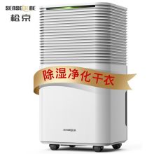 松京（SenseGene）抽湿机/除湿机家用静音12升/天 DH06