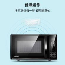 格兰仕 微波炉 20升 大平板底盘  可预约微波炉 DG(B0) P70F20CL-DG(B0)