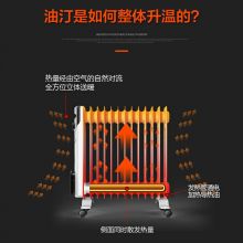 澳柯玛(AUCMA) 13片电热油汀取暖器家用/电暖器/电暖气片 NY22A206-13
