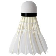 安格耐特 羽毛球鹅毛训练耐打 12只装 F2202