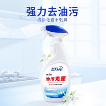 蓝月亮 油污克星 500g*2(姜花香) 油烟机清洗剂