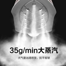 海尔（Haier）蒸汽挂烫机家用双杆带板手持立式大功率熨烫机电熨斗HY-GSS2408G