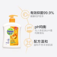 滴露Dettol 健康抑菌洗手液自然清新500g 抑菌99.9%