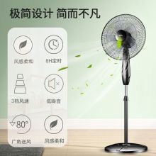 TCL TFS16RD 电风扇/落地扇/低音风扇/五叶大风量风扇定时遥控