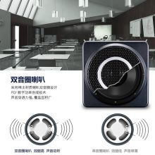 得胜（TAKSTAR）E260W 2.4G无线领夹扩音器 大功率腰挂教学扩音器  典雅黑
