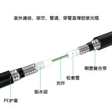 思诺亿舟（SNIT）GYTA53-24B1 重铠直埋24芯光缆 100米
