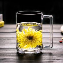 带把透明钢化玻璃茶杯 带盖能量款450ml