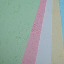 道顿180g A3++ 平面皮纹封面打印纸 五色混装 100张/包