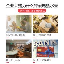 美的（Midea）电热水壶 304不锈钢 1.7L容量 双层防烫烧水壶MK-HJ1705(WHJ1705b)