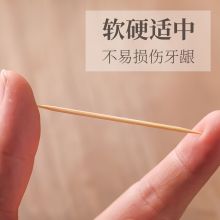 竹牙签一次性便携环保袋牙签（500支*10包） C1903