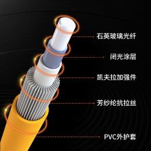 netLINK 光纤跳线 电信级光纤熔接尾纤 光端机适用 SC-SC 单模单芯  3米