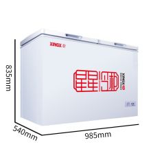 星星（XINGX） 203升 家商用双温冰柜 双箱冷柜 左冷冻右冷藏冰箱 BCD-203EJD