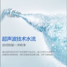 松下 (Panasonic)冲牙器 洗牙器 水牙线 非电动牙刷 全身水洗  5档可调节水压  EW1511