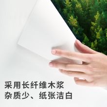 得力（deli）3586佳铂双面复印纸A4 70g 500张/包 8包/箱（4000张）