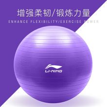 李宁（LI-NING）瑜伽球 65cm加厚防滑健身球 紫色 LBDM766
