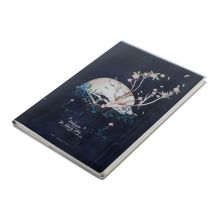 晨光(M&G)B5/96页学生笔记本 记事笔记本子 拥抱星空系列胶套本 4本装HAPY0268