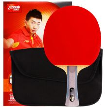 红双喜DHS乒乓球拍 横拍双面反胶弧圈结合快攻6星单拍R6002