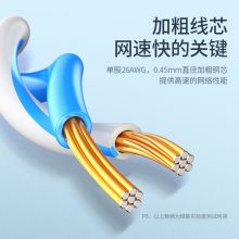 绿联（UGREEN）六类CAT6类网线 千兆非屏蔽8芯双绞成品跳线 1米 紫色 80835