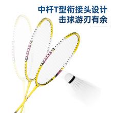 安格耐特（Agnite）羽毛球拍套装 铝合金男女对拍 送三球F2103