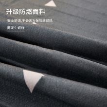 北极绒 安全调温除湿加厚秋冬电热毯 爱巢0.9米床 80*170cm单人单控电褥子