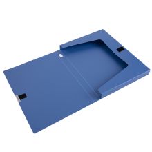 得力（deli）档案盒塑料文件盒A4资料盒文件夹收纳凭证 A4/背宽25mm 33509-10