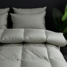 南极人 被芯家纺 羽绒鹅毛羽毛秋冬被子羽绒被  灰色 150*200cm 4.5斤