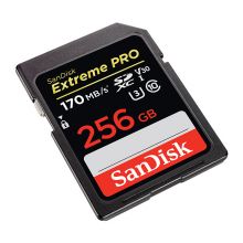 闪迪（SanDisk）256GB SD存储卡 读速170MB/s 写速90MB/s SDSDXXY-256G-ZN4IN