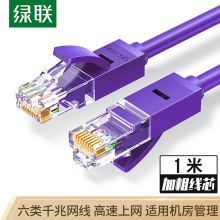 绿联（UGREEN）六类CAT6类网线 千兆非屏蔽8芯双绞成品跳线 1米 紫色 80835