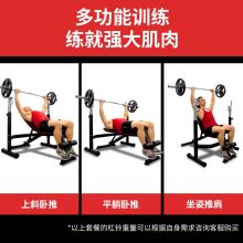 力动（RIDO） TD40/TD30 举重床卧推架杠铃架多功能综合训练器健身器材