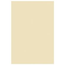 晨光(M&G)文具100页便利贴 粘性便签纸计划本留言贴 单本装YS-02